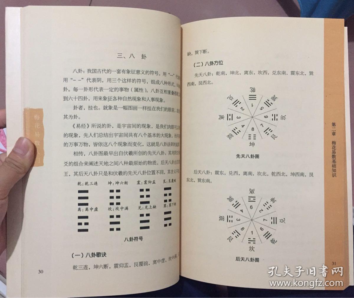 贾双萍梅花新易pdf_梅花易数书籍pdf_梅花宋王安石墙角数