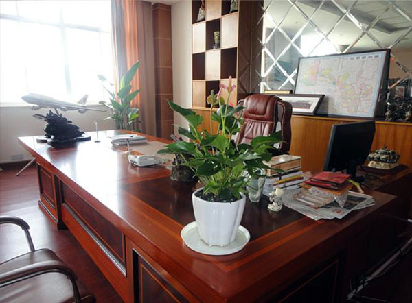 办公室摆放植物风水_办公室办公桌面摆放风水_书房办公桌的摆放风水