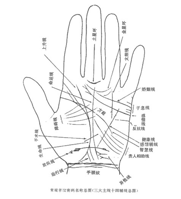 男人手相爱情线图解_事业线手相图解男_爱情线手相解读图解男