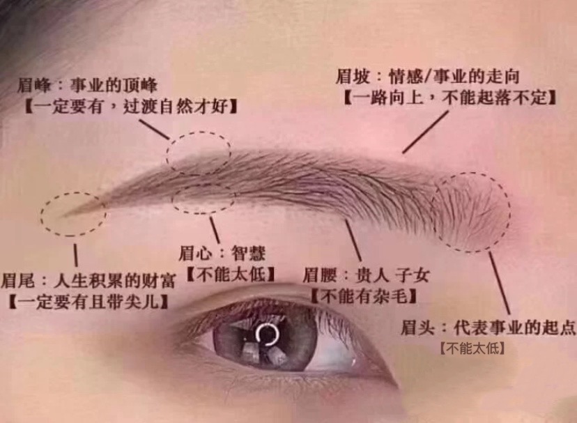 风水罗盘应用经验学从入门新手到风水高手的必读书_李居明学风水学的第一本书_面部风水学