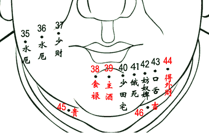 脸部看痣相算命图解_看耳朵算命图解_看蚂蚁相算命图解