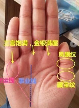 从手掌上看哪里是财纹女生大富大贵的手相纹图解