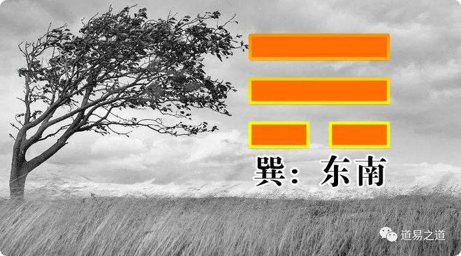 6.6万阅字体六十一、中孚卦是易经六十四卦中的第61卦