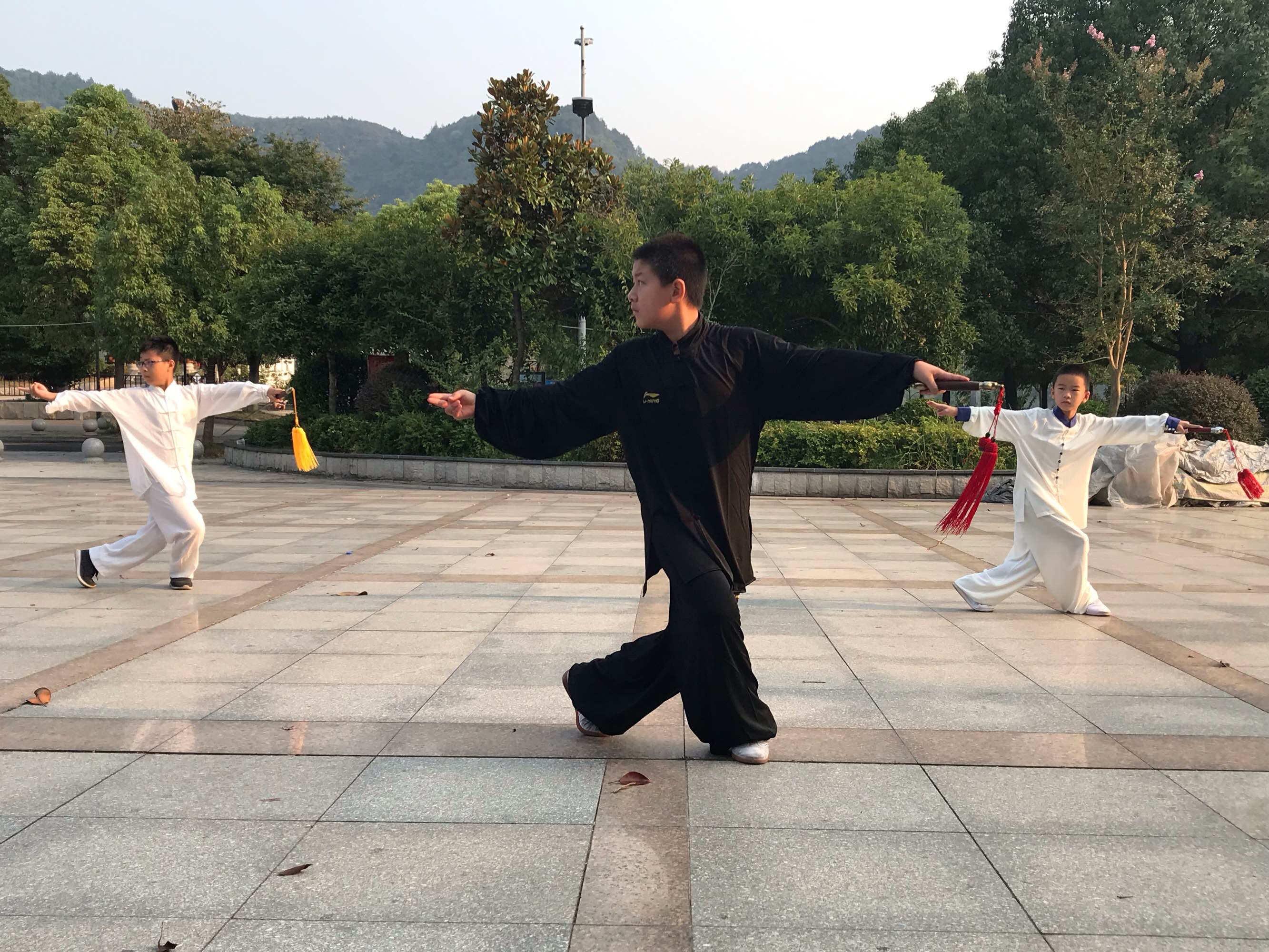 中国大学生不了解武术和太极拳是中国体育教育的失误