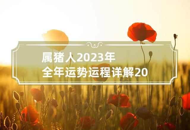 属猪人2023年全年运势运程详解 2023年属猪的人的全年运势