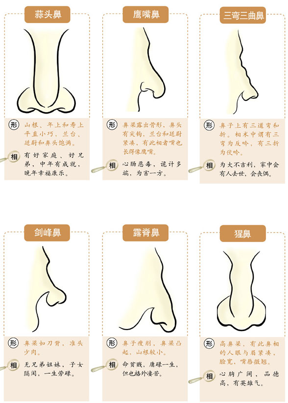 鼻子山根指的是哪儿？山根部位之相解读