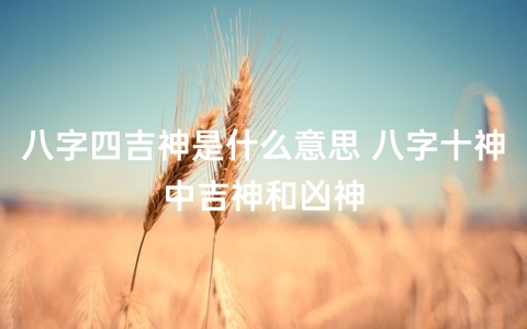 八字四吉神是什么意思 八字十神中吉神和凶神