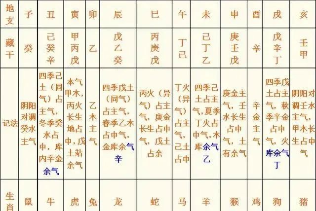 一下何为四柱八字的入门基础知识有哪些?四柱历法入门