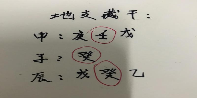 地支未亥亥子 两个：隐藏千年，直到清朝才发现“甲骨文”的趣闻过程