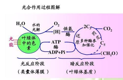 金木水火土五行相生相克查询表，五行