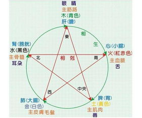 金木水火土五行查询表相克，金木水火土相生相克