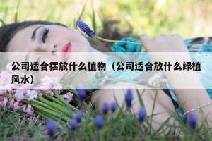 公司适合摆放什么植物（公司适合放什么绿植风水）