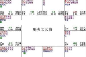 紫微斗数富贵格局——廉贞文武格