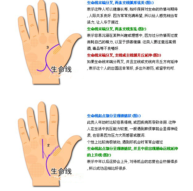 你知道吗？命运好的人，他们的手掌上有这样的一条线