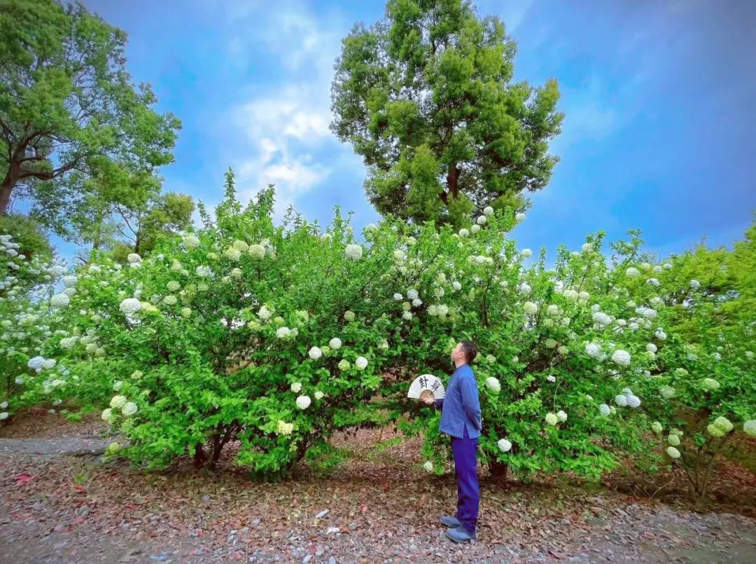 风水堂:如何确定一个人的命理格局