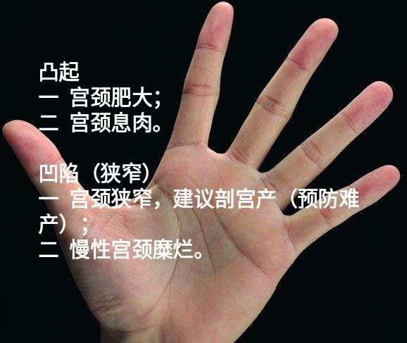 手相学将人的手掌分为八个宫位，与八卦相对应
