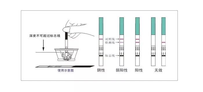 养精一个月能让怀孕事半功倍吗？