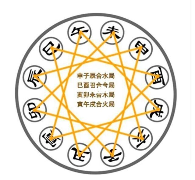 免费就廉价怎么办？——缘友专访老师