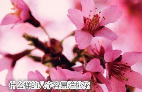 风水堂:什么样的八字带桃花