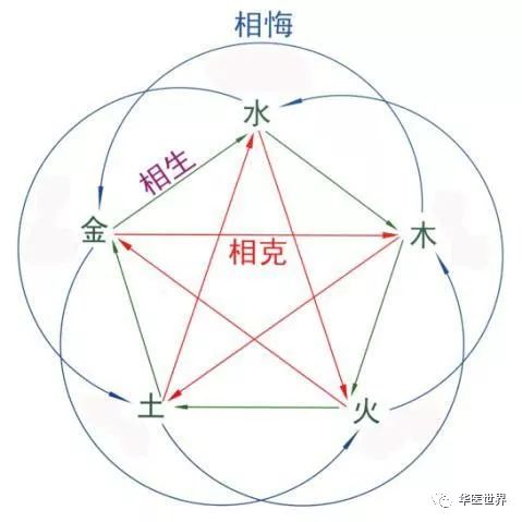 多花3分钟看郝万山教授如何理解“五行”？