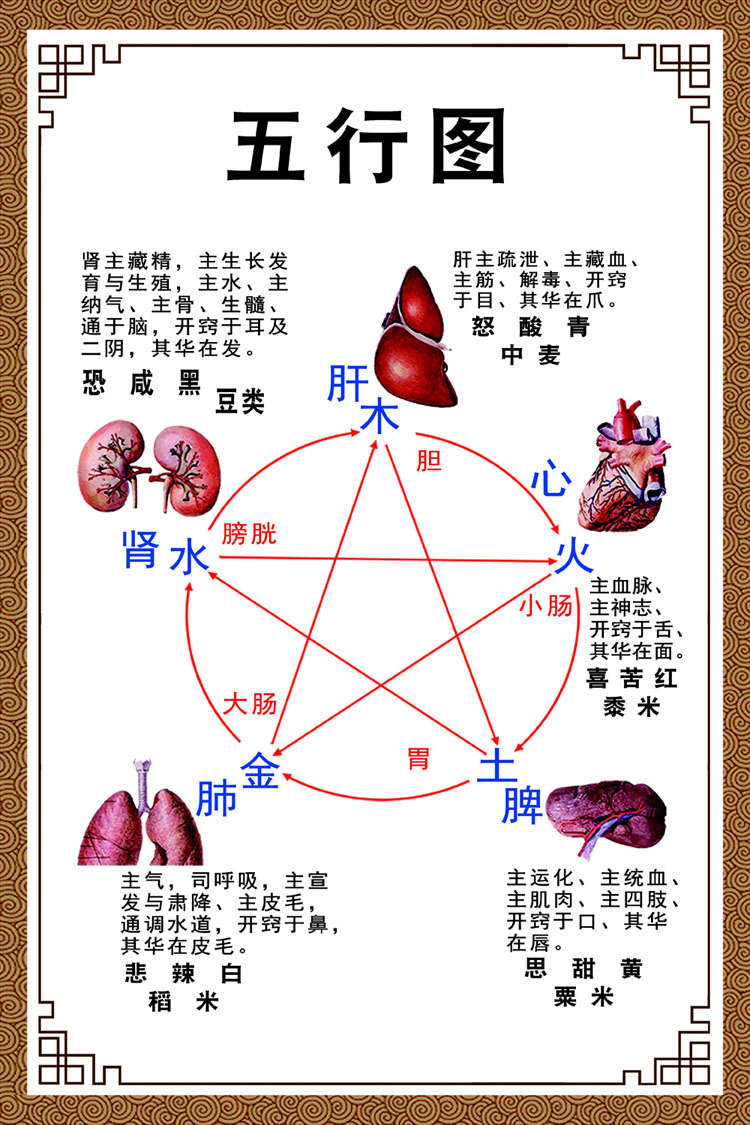 （安济一堂）戴安伟：从金庸小说到中医五行