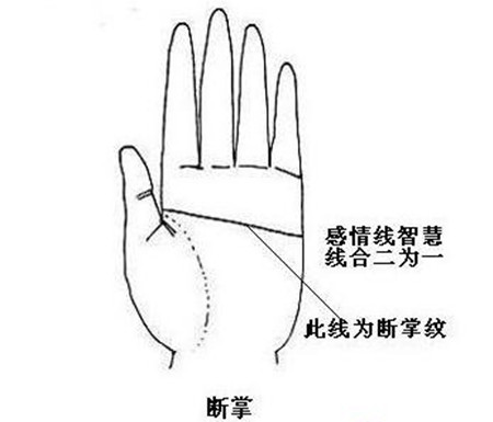 断掌风水堂:智慧线上方分叉的作用