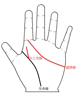 你有福气在未来生养贵子，自己好运连绵不绝吗