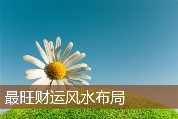 慈世堂：如何布局家居风水，旺财又健康？