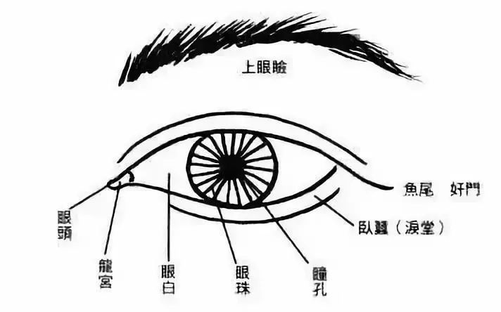 眼如龙眼者，主一生荣华富贵、前途似景、高官厚禄