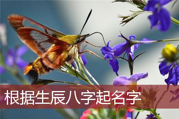 风水堂:生辰八字起名字免费按