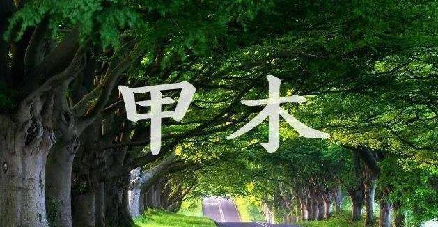 日天干，来把对应的十神关系取出来呢？