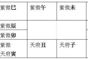 紫微斗数的排盘方法步骤