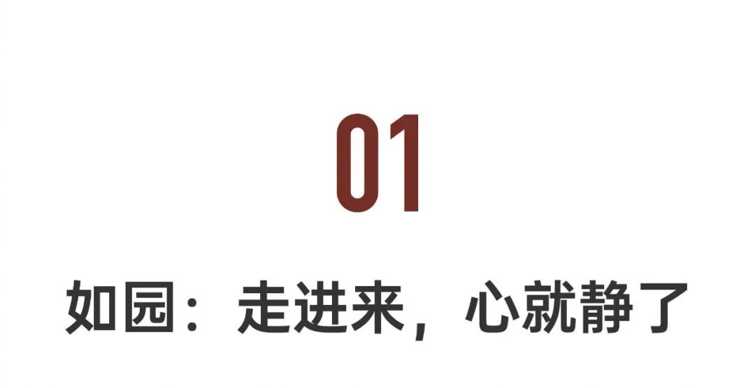 如园倚靠茶园，租了20年的外桐坞村