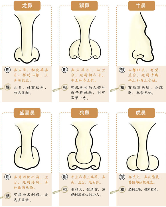 （李向东）鼻子的面相学鼻！你知道吗？