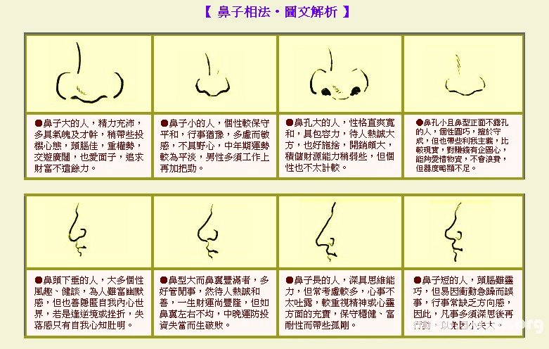 （李向东）鼻子的面相学鼻！你知道吗？