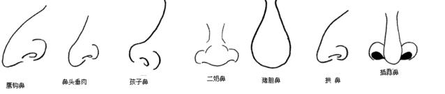 风水堂：鼻子粗的人体力佳