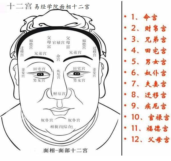 八卦派面相学：面相看人识人观人的方法