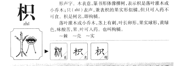 枳字五行属什么，枳字的含义是什么，枳字取名的寓意（男孩，女孩）