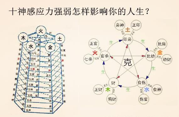 十神感应力强弱怎样影响你的人生