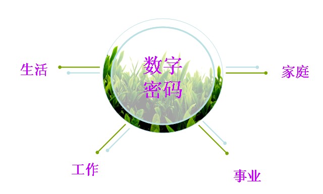 创造了更精准的生命密码－生日数字能量学