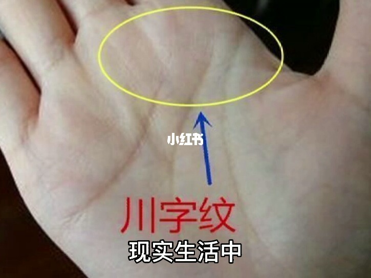 （李向东）手掌川字纹好在哪？的男人命运如何？