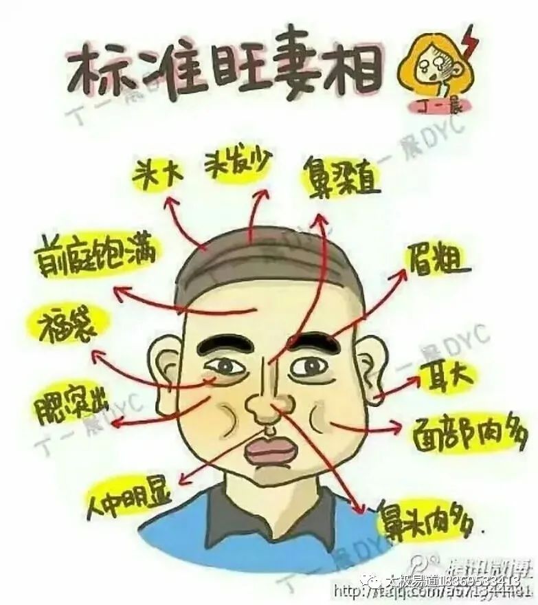 （李向东）痣相图解（女性）￼额头痣命运图解