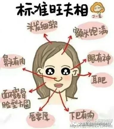 （李向东）痣相图解（女性）￼额头痣命运图解