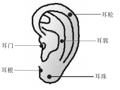 耳垂下有痣代表什么，一生不为钱所困！