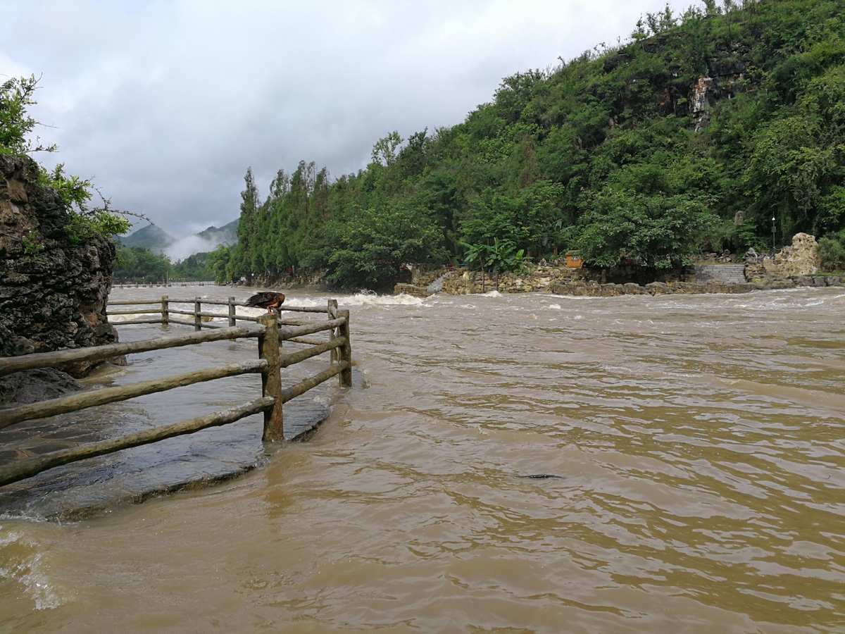 风水堂：涨大洪水预示梦者运势