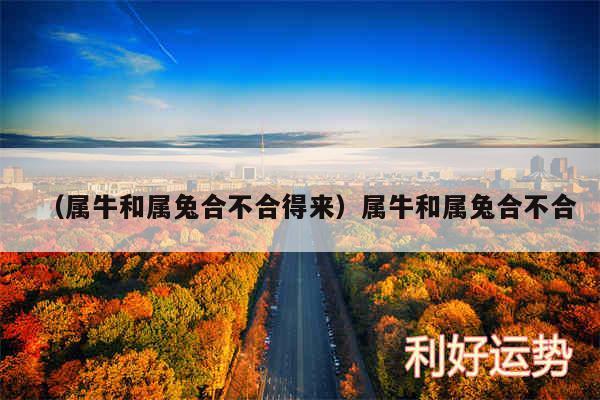 兔和牛合财吗在十二生肖的相刑相克关系