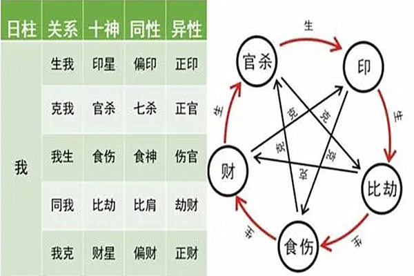 八字入门之十神的意义和作用