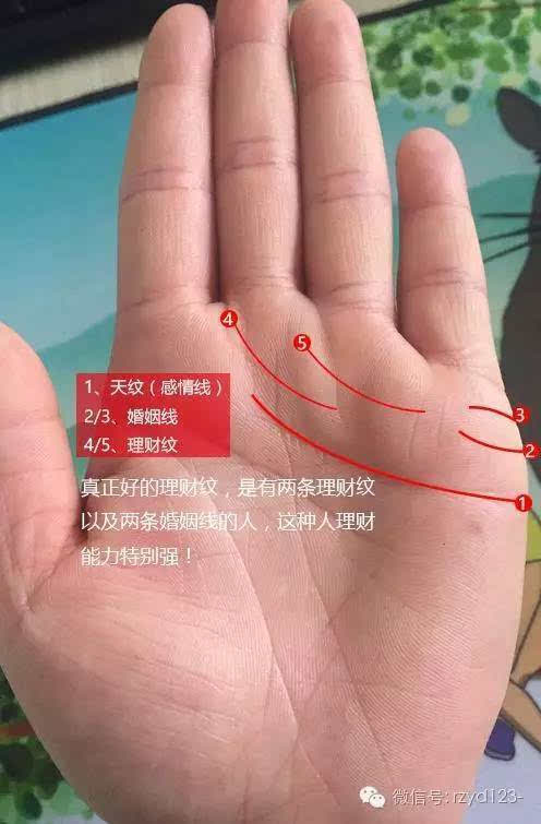 为什么有偏财运的手相手相容易中大奖?