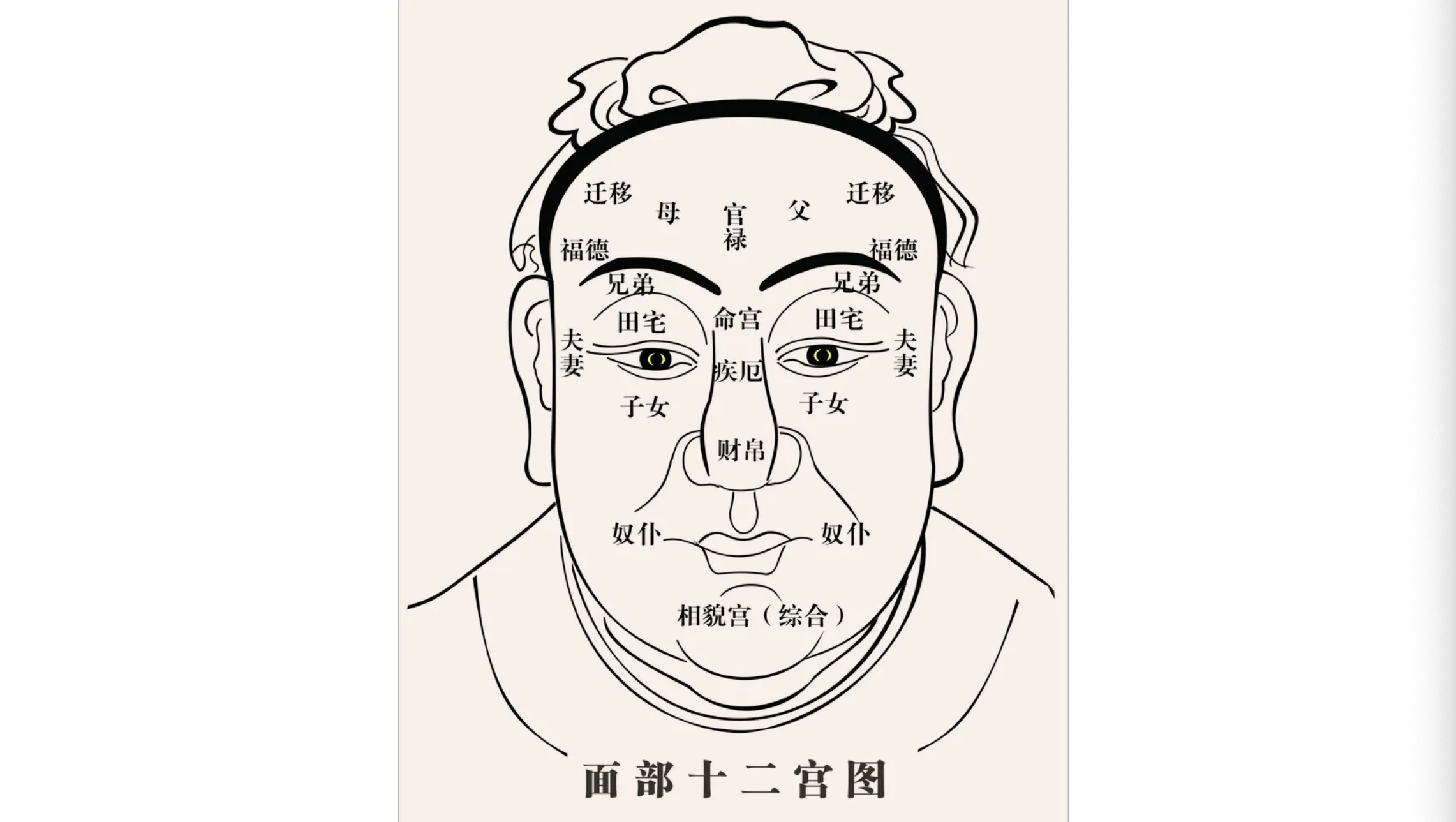 人体面相五官图解图片