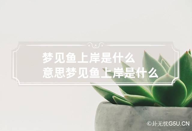 慈世堂：梦见下船上岸，预示着你的爱情运势多波折